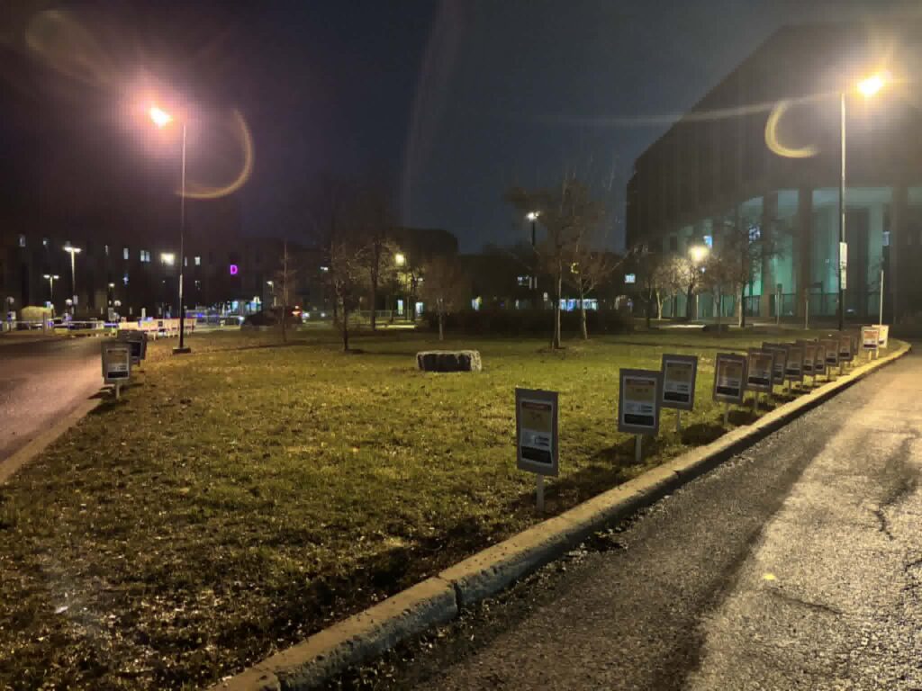 Peut être une image de herbe et rue